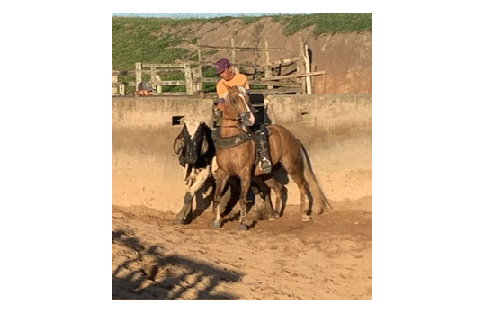 LA BELLA ROJO RC